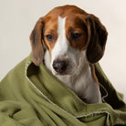 Expedition Fleece Pet Blanket - Khaki Green Dog Blanket Scruffs®