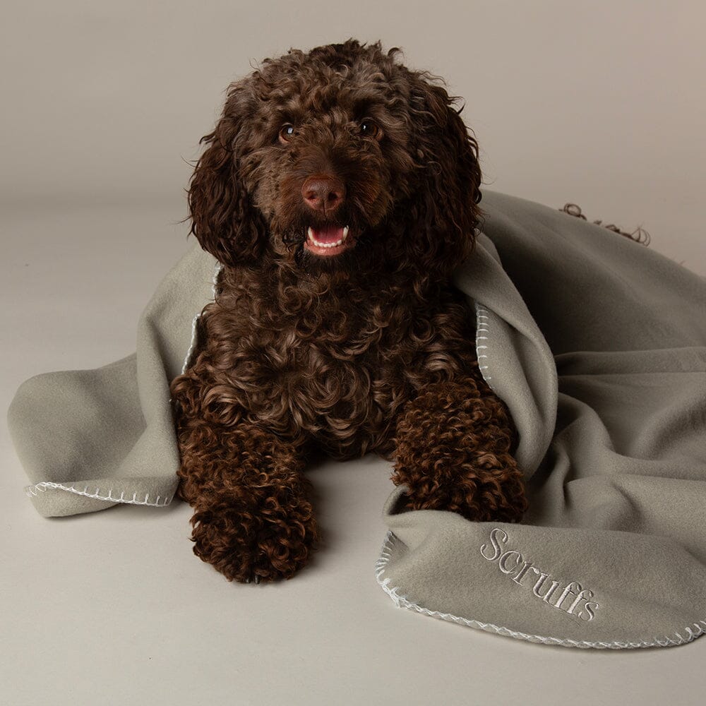 Expedition Fleece Pet Blanket - Storm Grey Dog Blanket Scruffs®