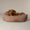 Seattle Box Bed - Sienna Brown Dog Bed Scruffs®
