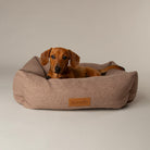 Seattle Box Bed - Sienna Brown Dog Bed Scruffs®