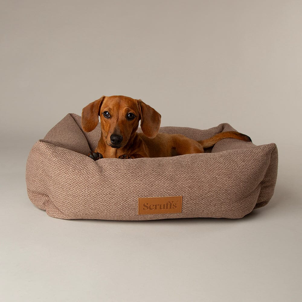 Seattle Box Bed - Sienna Brown Dog Bed Scruffs®