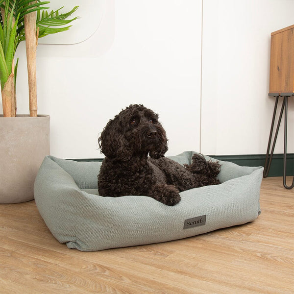 Seattle Box Bed - Topaz Green Dog Bed Scruffs®