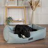 Seattle Box Bed - Topaz Green Dog Bed Scruffs®