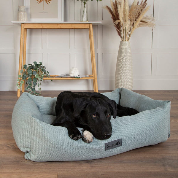 Seattle Box Bed - Topaz Green Dog Bed Scruffs®
