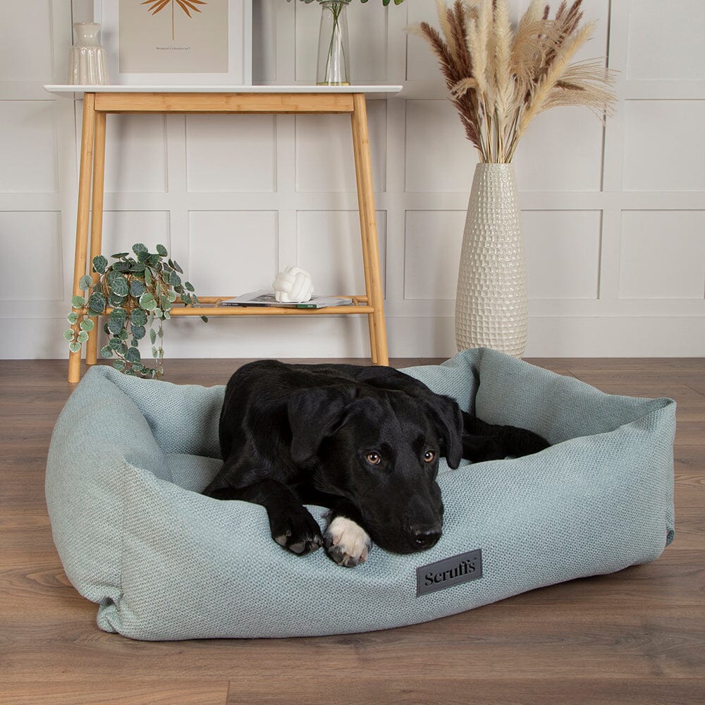 Seattle Box Bed - Topaz Green Dog Bed Scruffs®