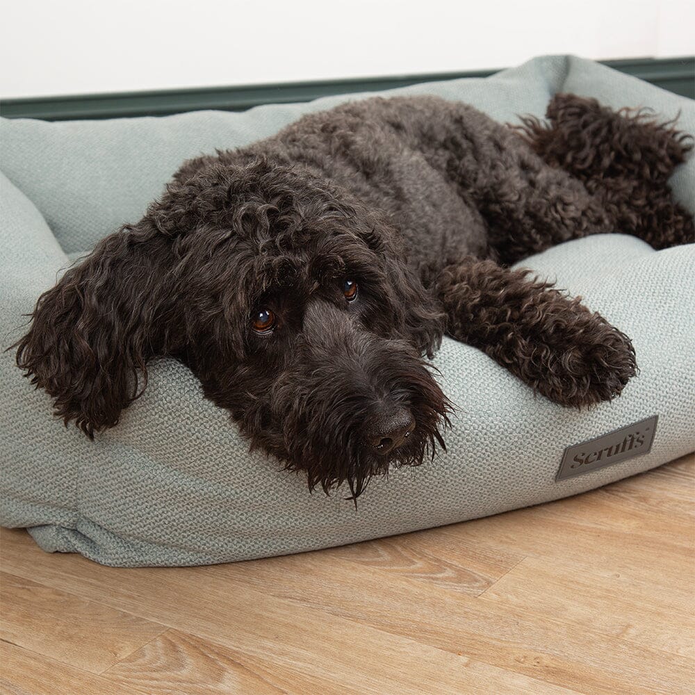 Seattle Box Bed - Topaz Green Dog Bed Scruffs®