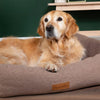 Seattle Box Bed - Sienna Brown Dog Bed Scruffs®