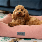 Seattle Box Bed - Coral Pink Dog Bed Scruffs®