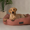 Seattle Box Bed - Coral Pink Dog Bed Scruffs®