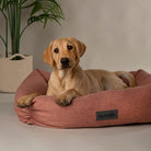 Seattle Box Bed - Coral Pink Dog Bed Scruffs®