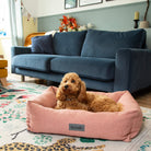 Seattle Box Bed - Coral Pink Dog Bed Scruffs®
