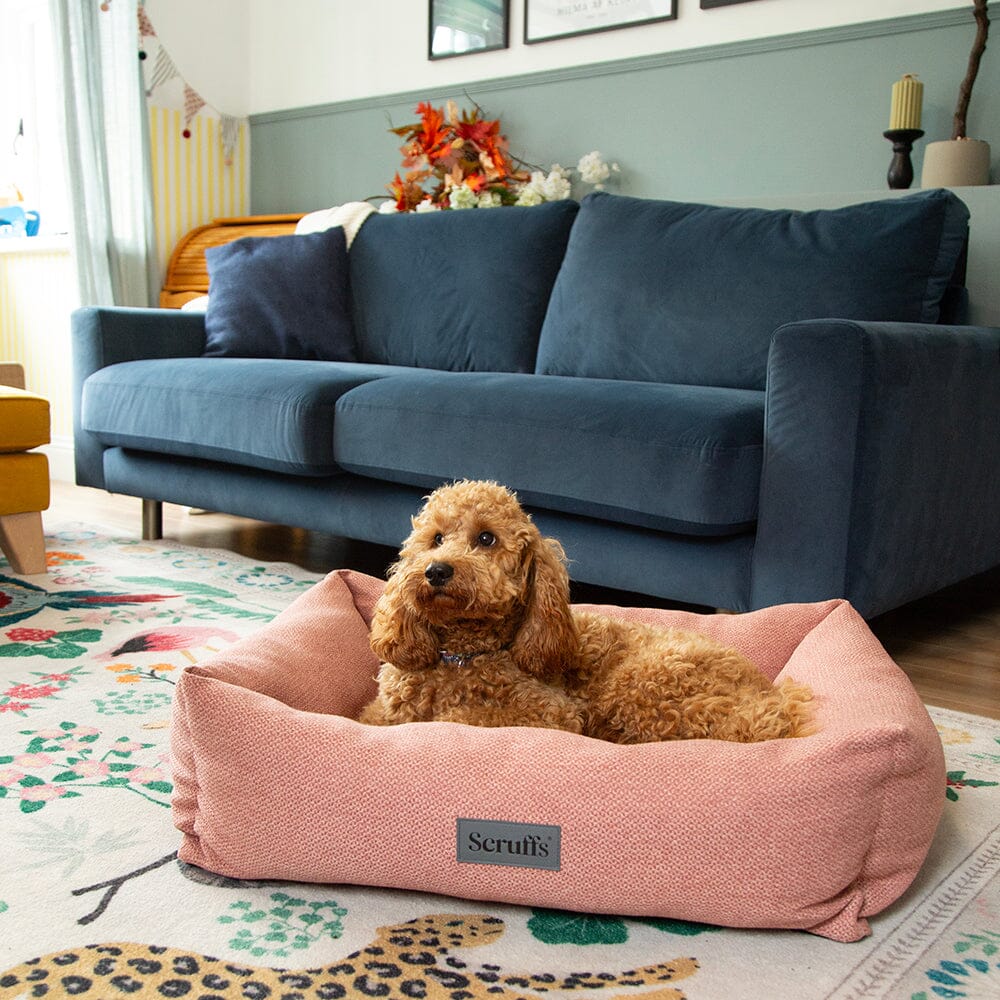 Seattle Box Bed - Coral Pink Dog Bed Scruffs®