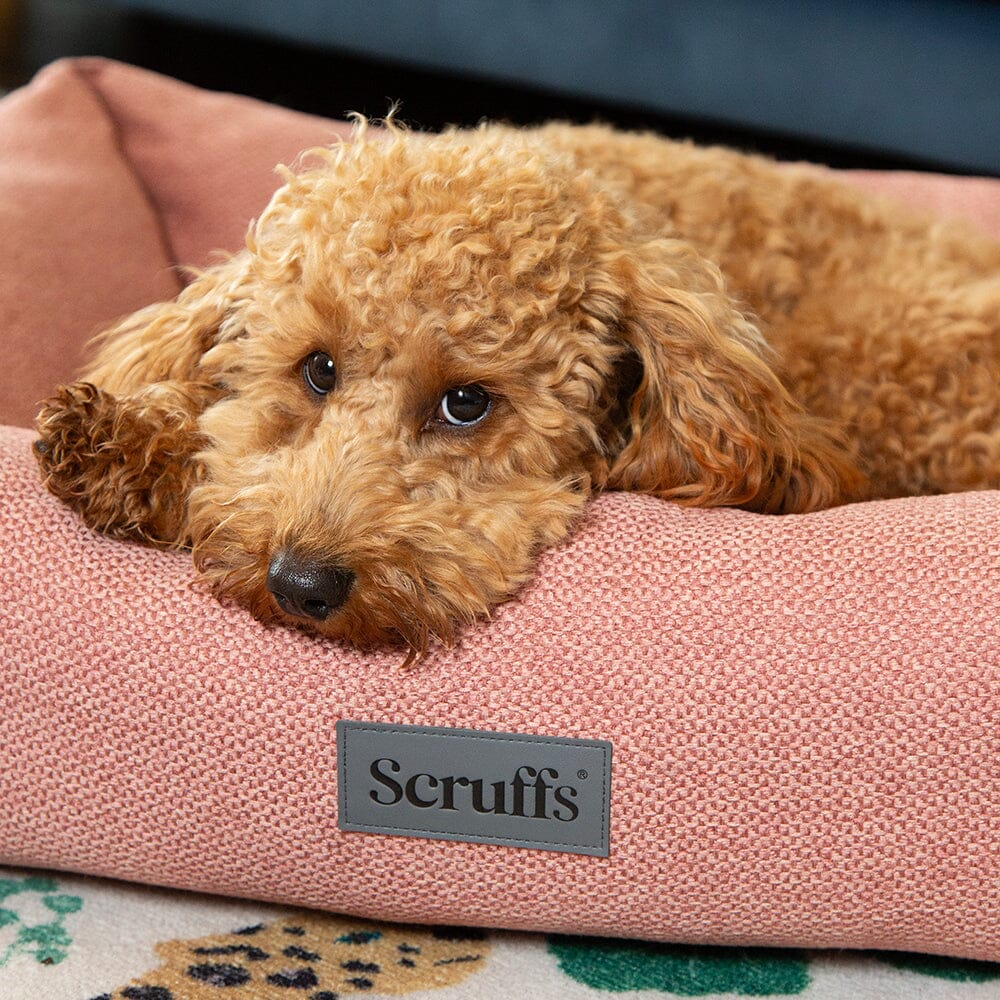 Seattle Box Bed - Coral Pink Dog Bed Scruffs®