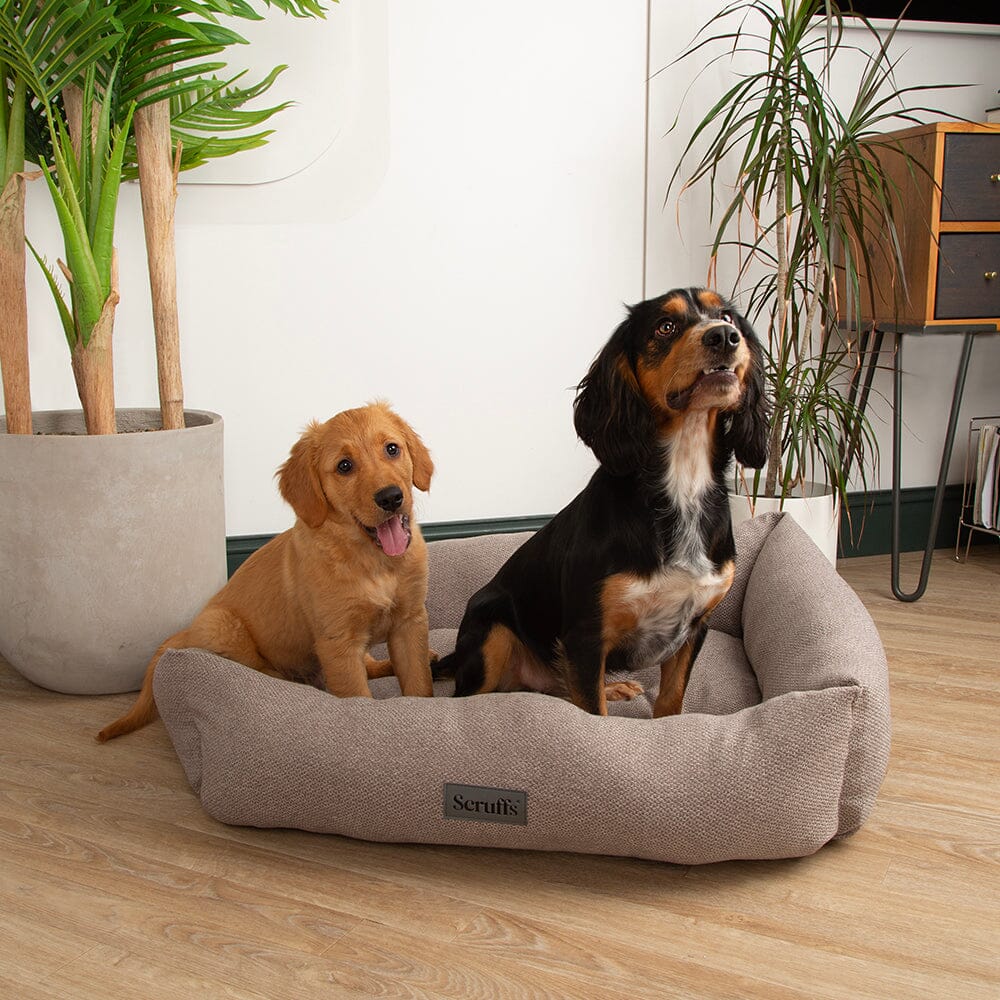 Seattle Box Bed - Stone Grey Dog Bed Scruffs®