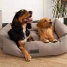 Seattle Box Bed - Stone Grey Dog Bed Scruffs®