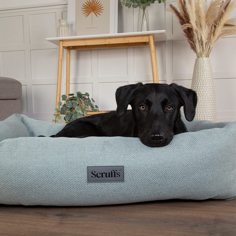 Seattle Box Bed - Topaz Green Dog Bed Scruffs®