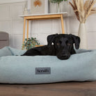 Seattle Box Bed - Topaz Green Dog Bed Scruffs®