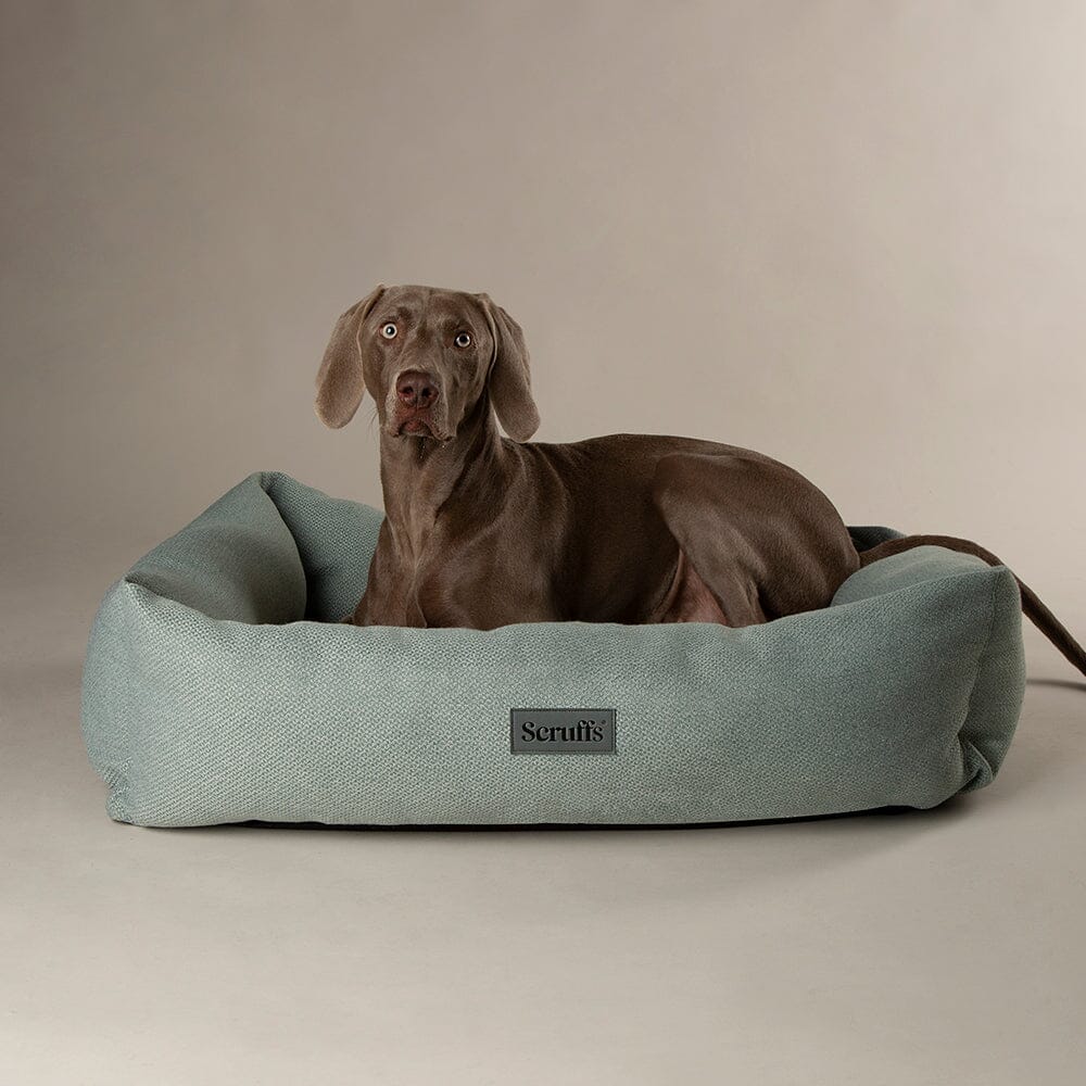 Seattle Box Bed - Topaz Green Dog Bed Scruffs®