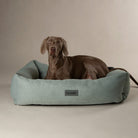 Seattle Box Bed - Topaz Green Dog Bed Scruffs®