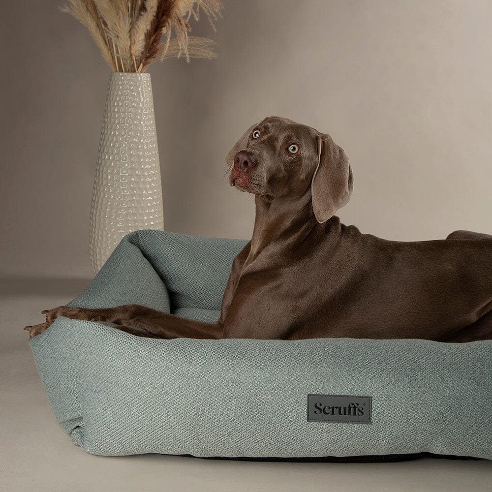 Seattle Box Bed - Topaz Green Dog Bed Scruffs®