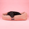 Seattle Box Bed - Coral Pink Dog Bed Scruffs®