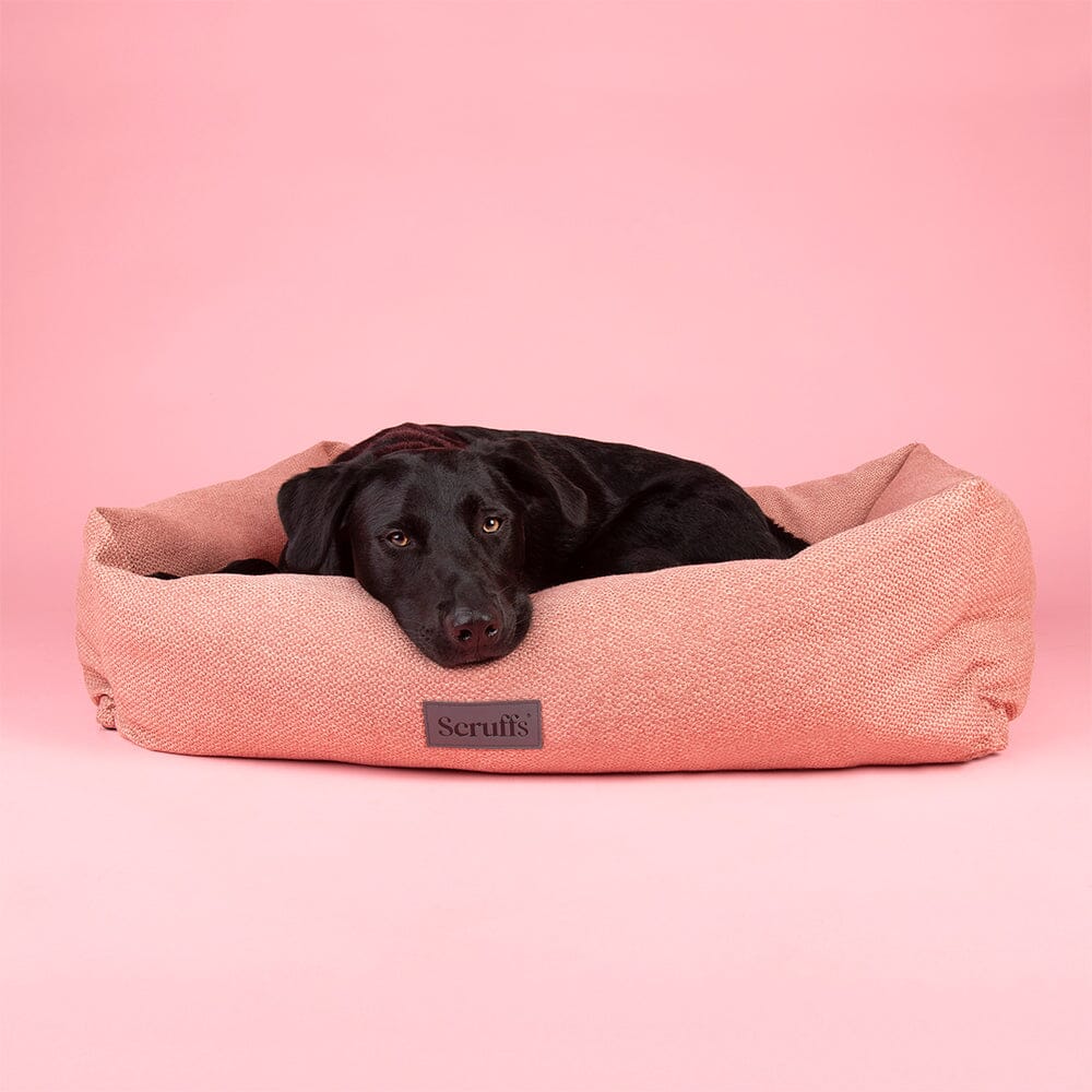 Seattle Box Bed - Coral Pink Dog Bed Scruffs®
