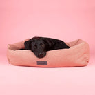 Seattle Box Bed - Coral Pink Dog Bed Scruffs®