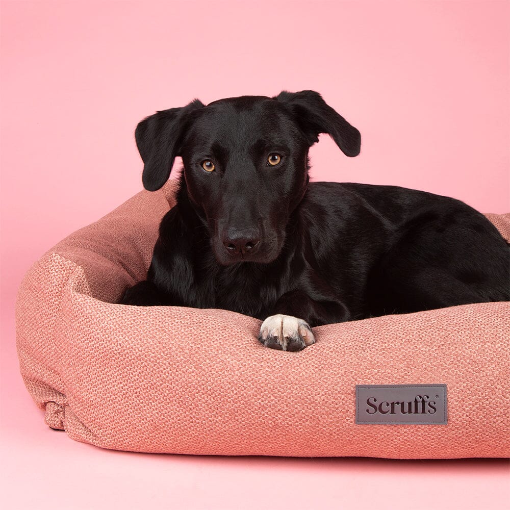 Seattle Box Bed - Coral Pink Dog Bed Scruffs®