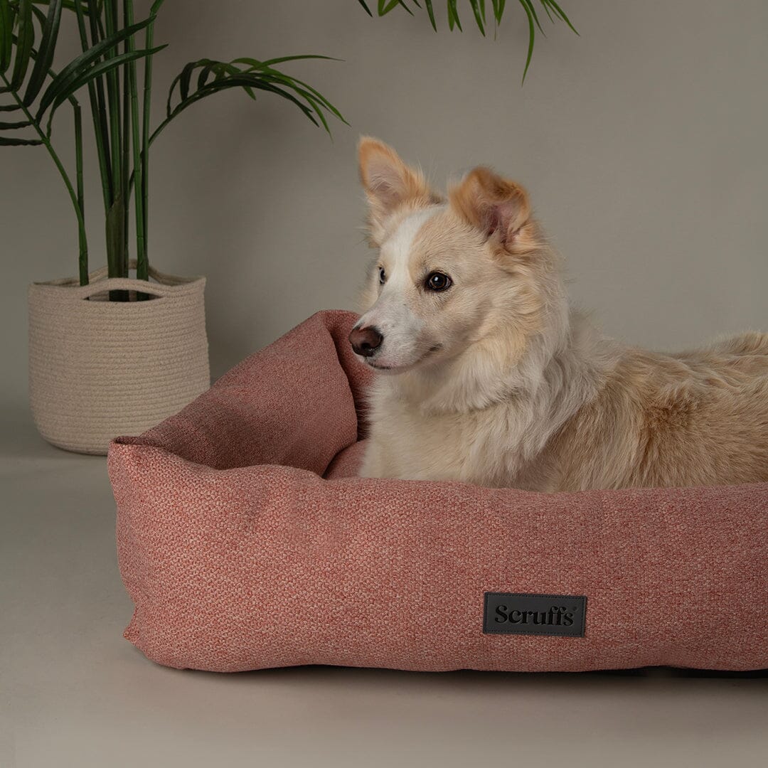 Seattle Box Bed - Coral Pink Dog Bed Scruffs®