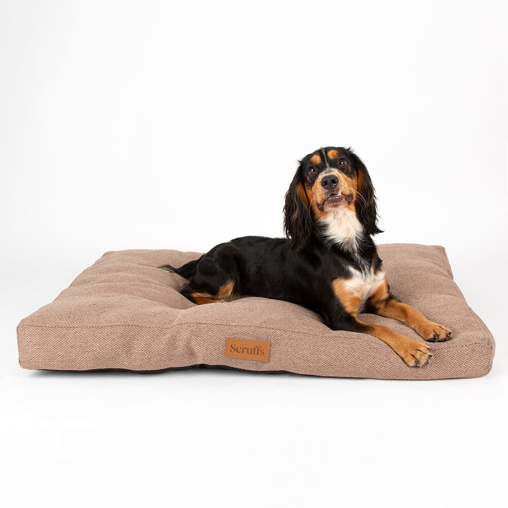 Seattle Mattress - Sienna Brown Dog Bed Scruffs®