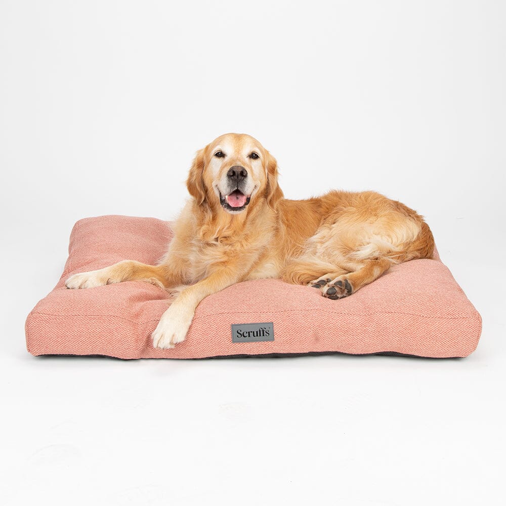 Seattle Mattress - Coral Pink Dog Bed Scruffs®