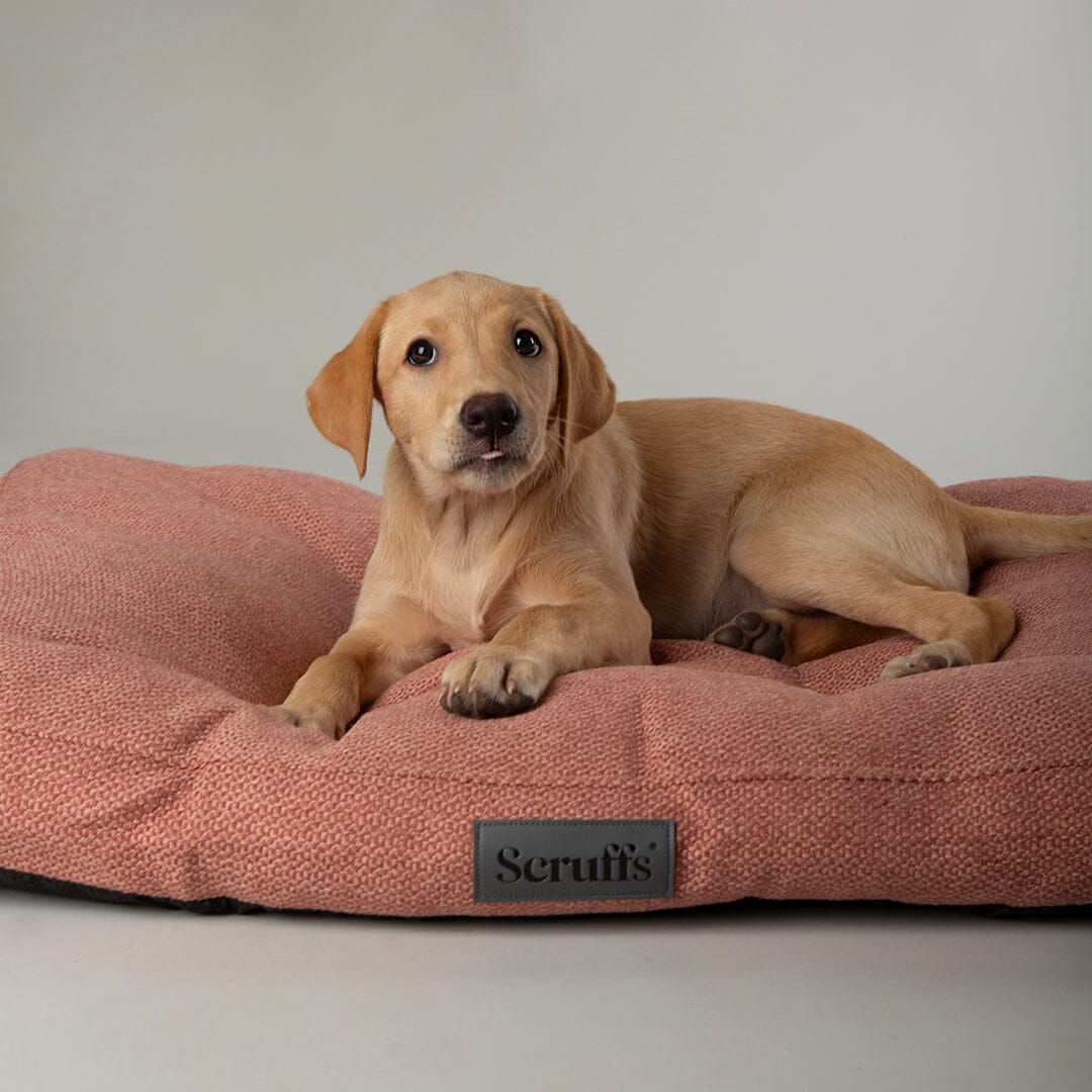 Seattle Mattress - Coral Pink Dog Bed Scruffs®