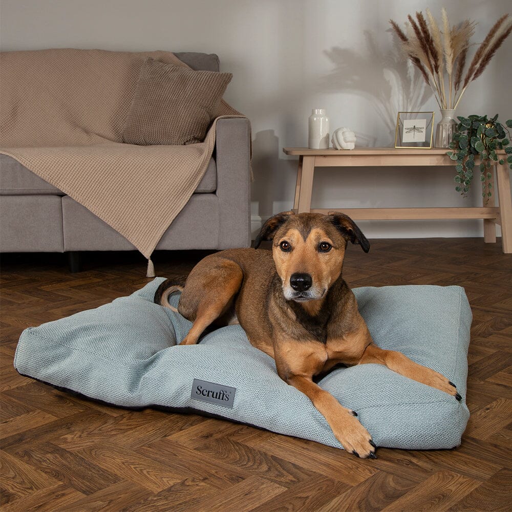 Seattle Mattress - Topaz Green Dog Bed Scruffs®