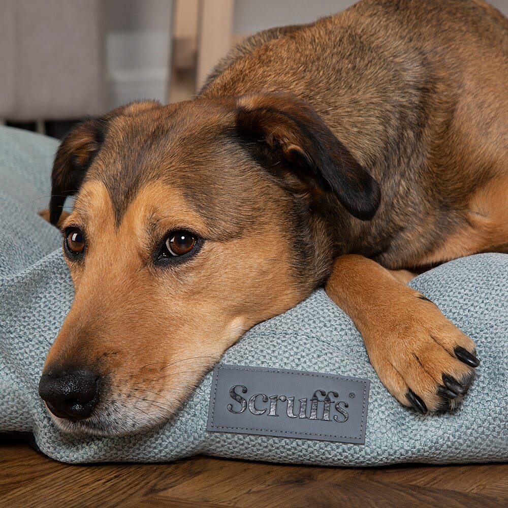 Seattle Mattress - Topaz Green Dog Bed Scruffs®