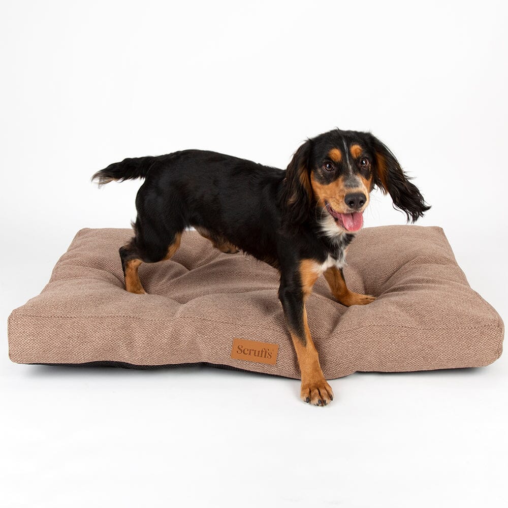Seattle Mattress - Sienna Brown Dog Bed Scruffs®