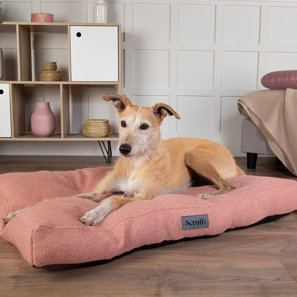 Seattle Mattress - Coral Pink Dog Bed Scruffs®