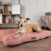 Seattle Mattress - Coral Pink Dog Bed Scruffs® 