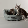 Seattle Cat Bed - Topaz Green Cat Bed Scruffs®