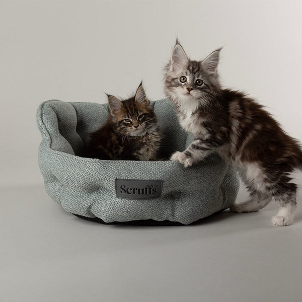Seattle Cat Bed - Topaz Green Cat Bed Scruffs®