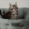 Seattle Cat Bed - Topaz Green Cat Bed Scruffs®