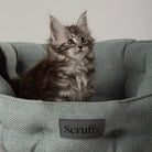 Seattle Cat Bed - Topaz Green Cat Bed Scruffs®