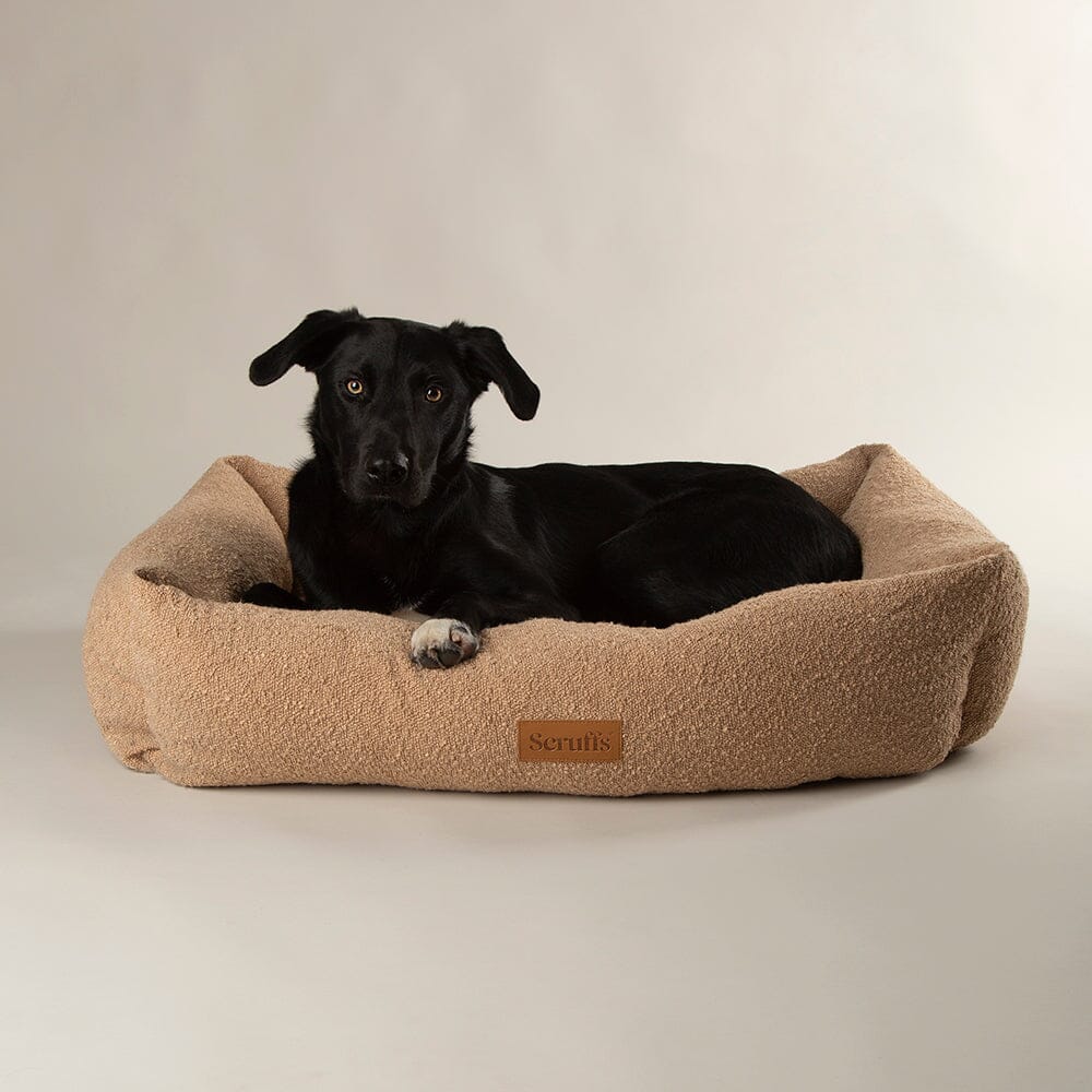 Boucle Box Bed - Desert Brown Dog Bed Scruffs®