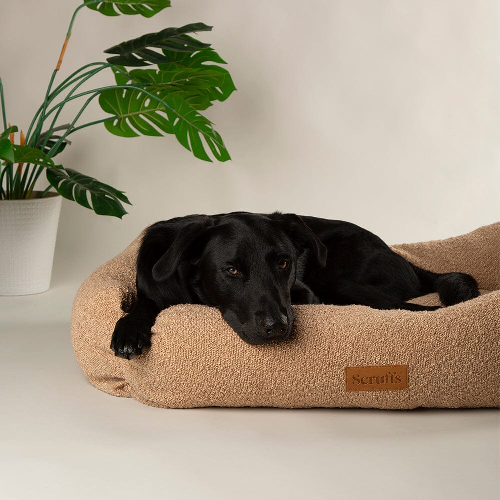Boucle Box Bed - Desert Brown Dog Bed Scruffs®