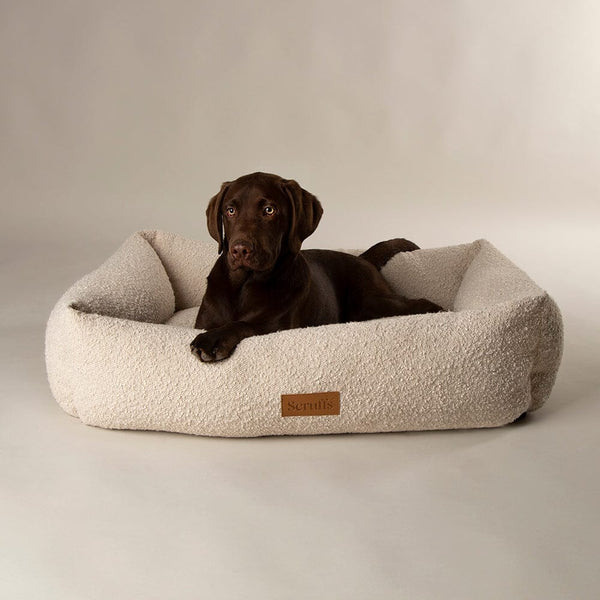Boucle Box Bed - Ivory Dog Bed Scruffs®