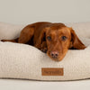 Boucle Dog Bed - Desert Brown 100% polyester Dog Bed Scruffs - Close up of Dog on Bed