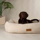 Boucle Box Bed - Ivory Dog Bed Scruffs®