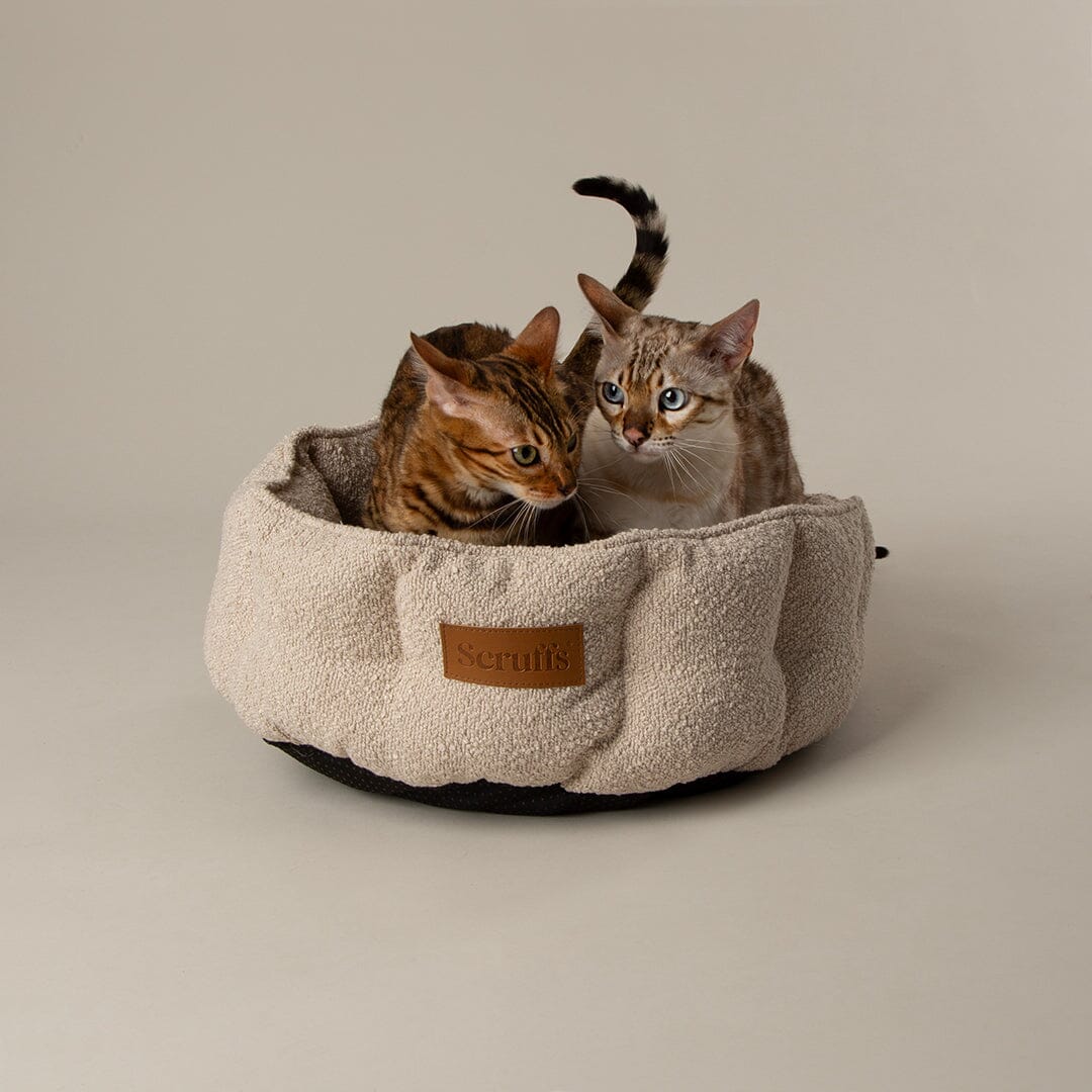 Boucle Cat Bed - Ivory Cat Bed Scruffs®