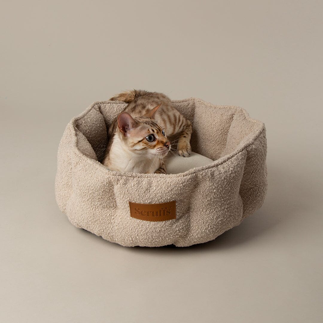 Boucle Cat Bed - Ivory Cat Bed Scruffs®