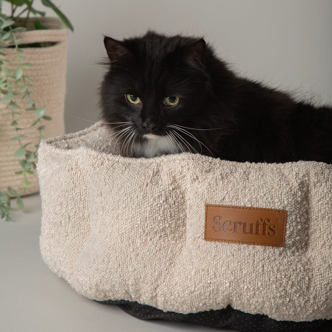 Boucle Cat Bed - Ivory Cat Bed Scruffs®
