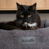 Boucle Cat Bed - Slate Grey 100% polyester Cat Bed  Scruffs - Close up of Black Cat on Bed
